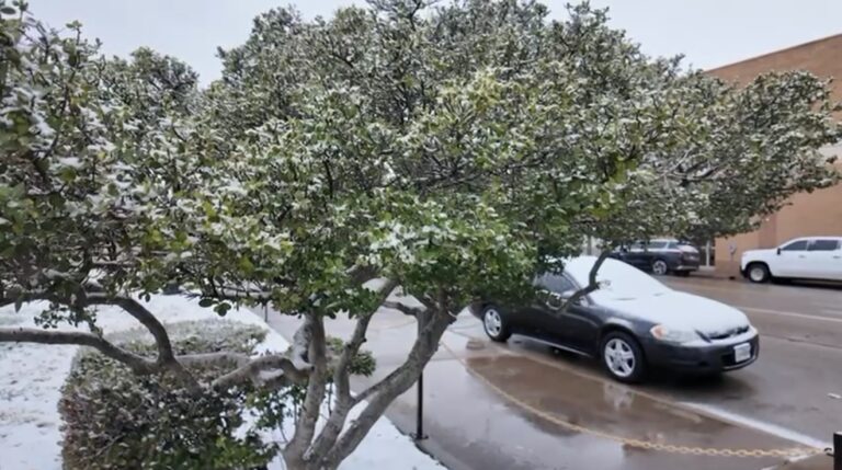 Nieve en el Permian Basin: Autoridades piden extremar precauciones ante el clima frío