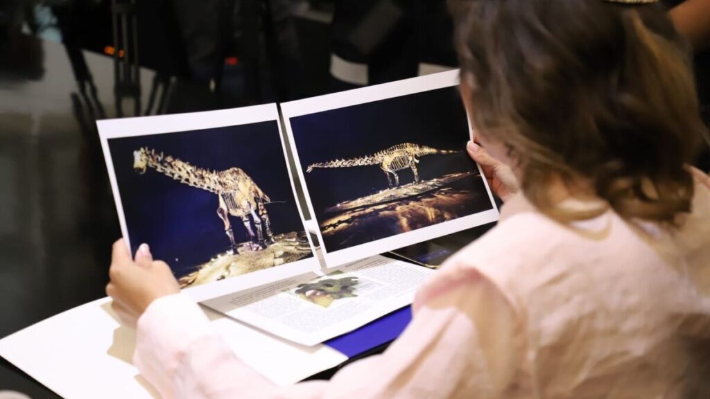 Confirmación sobre el ‘Fósil Einstein’: Prestado, no Donado a San Pedro Garza García