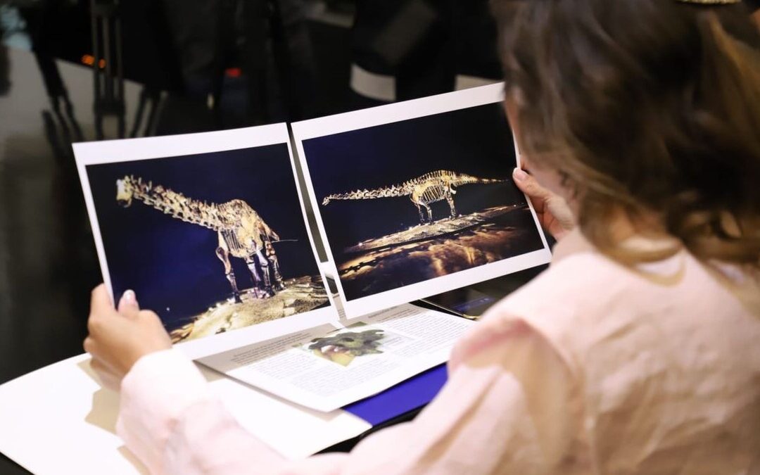 Confirmación sobre el ‘Fósil Einstein’: Prestado, no Donado a San Pedro Garza García