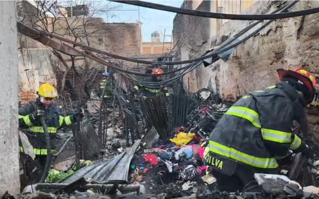 Incendio en Tonalá: Fuego Destruye Casa y Cobra la Vida de 3 Perritos