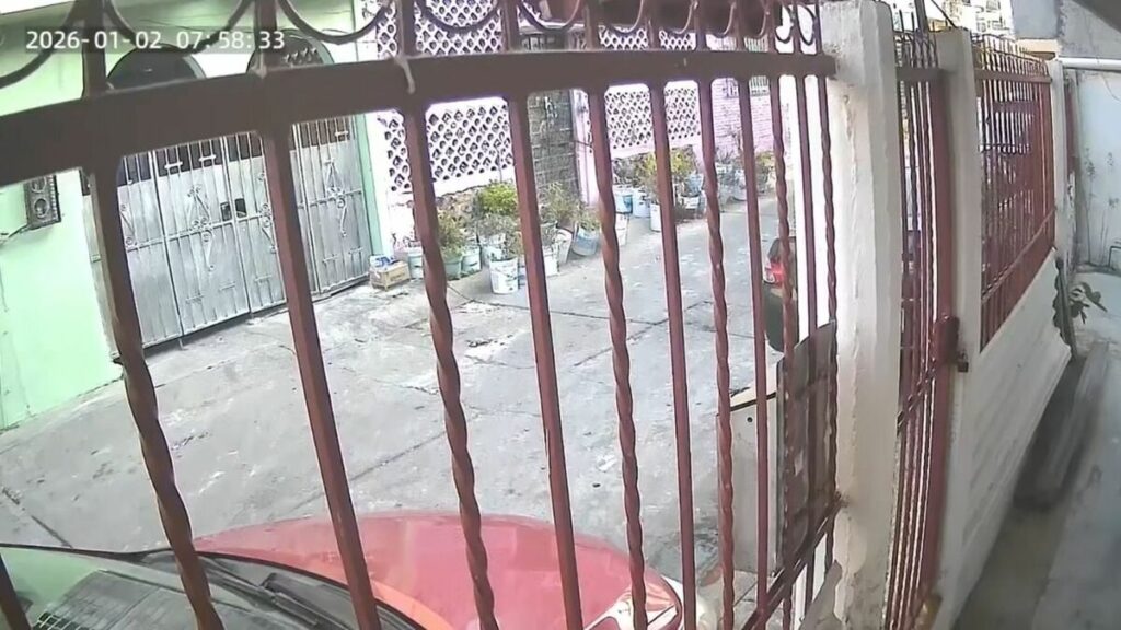 Impactante Sismo en San Marcos y Ciudad de México: Testimonios en Redes Sociales