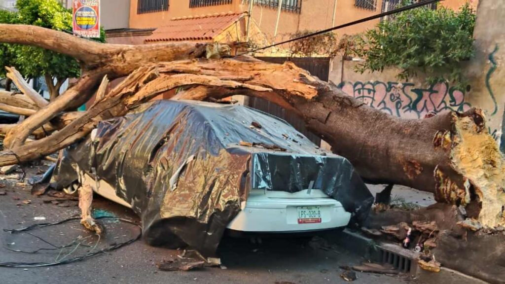 Sismo en San Marcos, Guerrero: Más de 30 inmuebles afectados en CdMx y 2 en riesgo de colapso