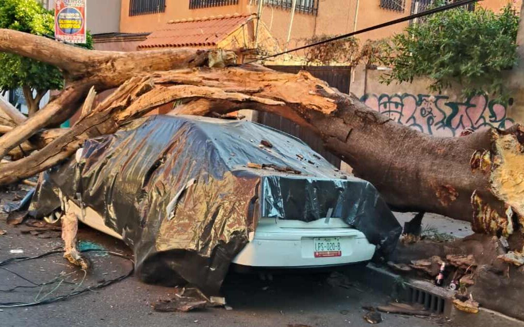 Sismo en San Marcos, Guerrero: Más de 30 inmuebles afectados en CdMx y 2 en riesgo de colapso