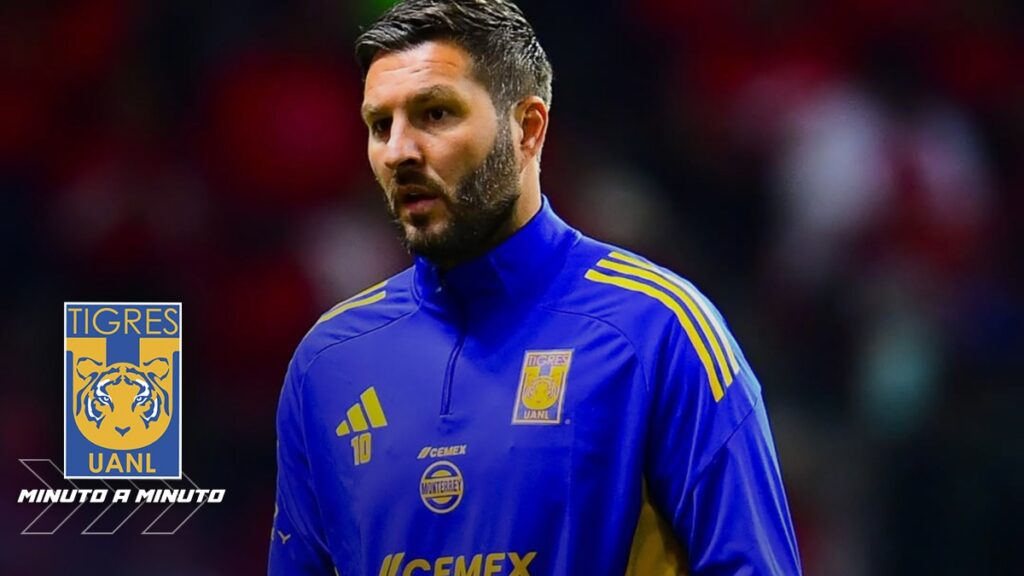 Tigres: Todo sobre la pretemporada y los jugadores que se presentaron hoy