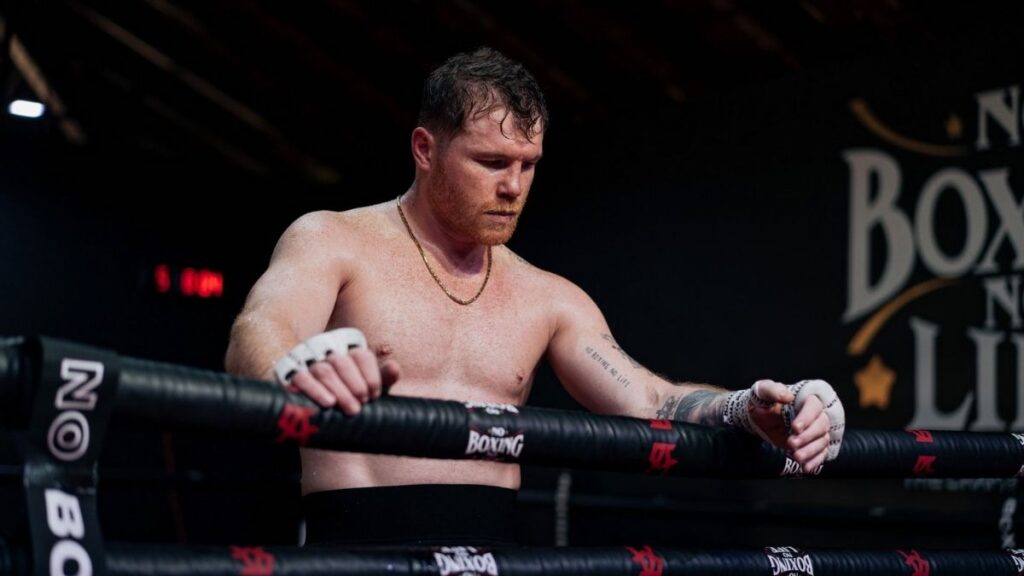 Guía de Boxeo Profesional 2026: Reglas, Títulos y Referentes que Debes Conocer