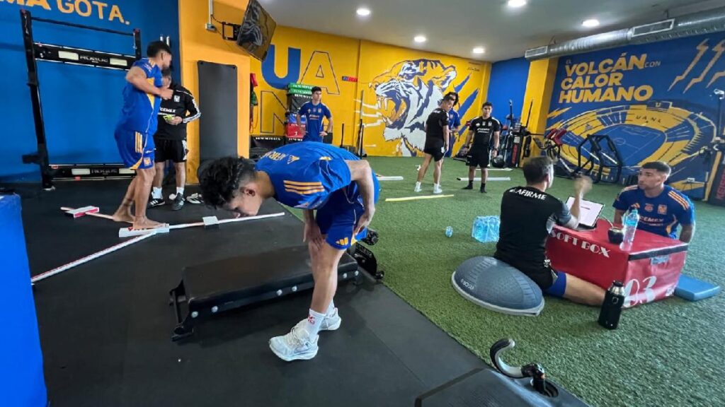 Bajas en Tigres: Dos Jugadores que No Continuarán con Guido Pizarro en 2026