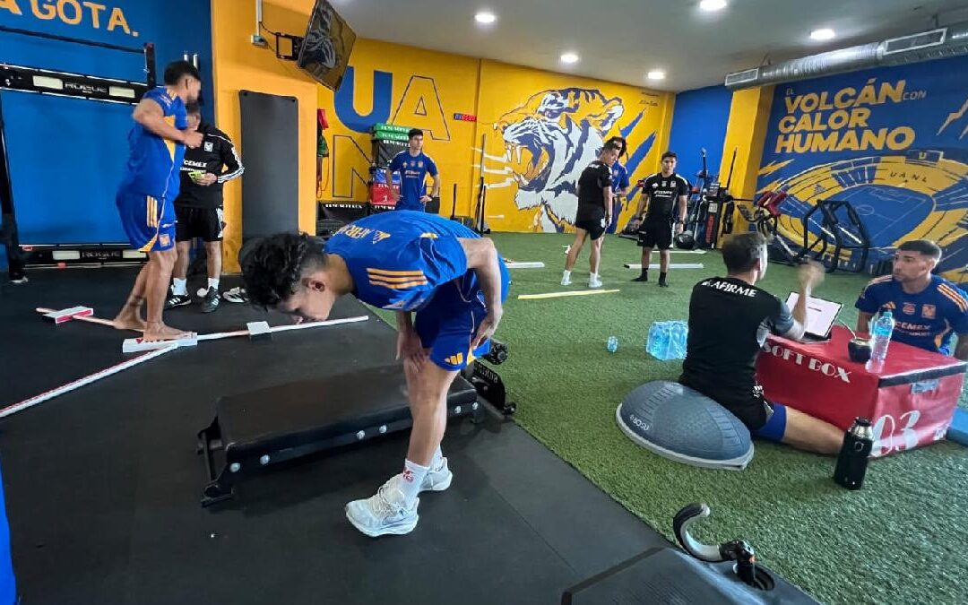 Bajas en Tigres: Dos Jugadores que No Continuarán con Guido Pizarro en 2026