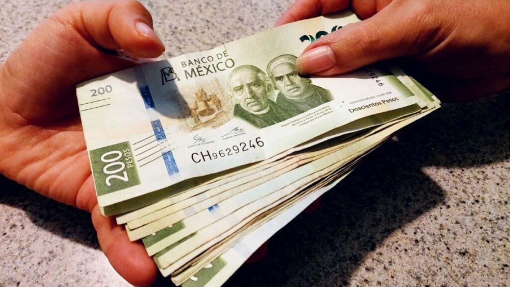 Sueldo Promedio en Laguna: ¿Es Suficiente para Vivir Bien?