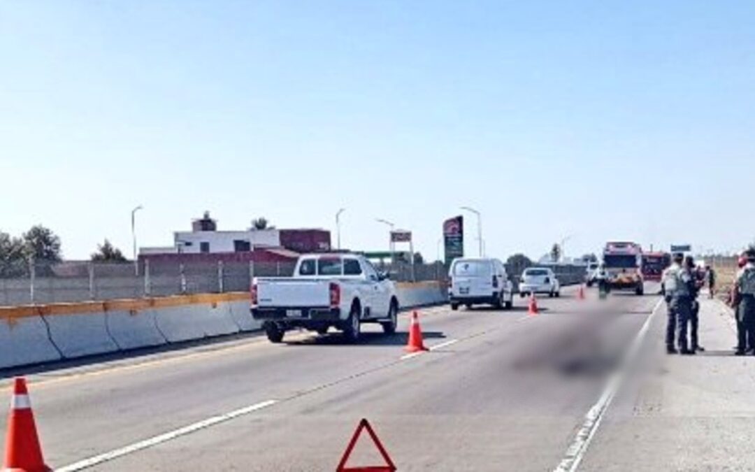 Tragedia Ciclista en la Autopista Puebla-Orizaba: Hombre Arrollado Deja Impacto Devastador