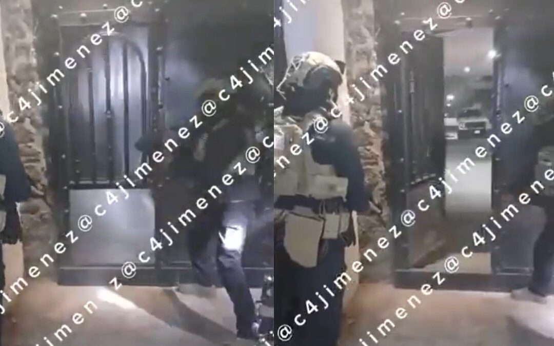 Perritos Nacen Durante Operativo en Xochimilco: Descubren Armamento y Drogas del Cártel de Sinaloa