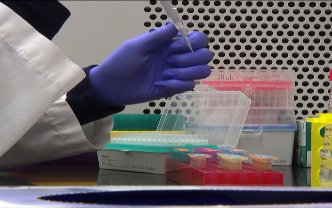 Cruz Roja Americana alerta sobre escasez de sangre que perjudica la atención hospitalaria