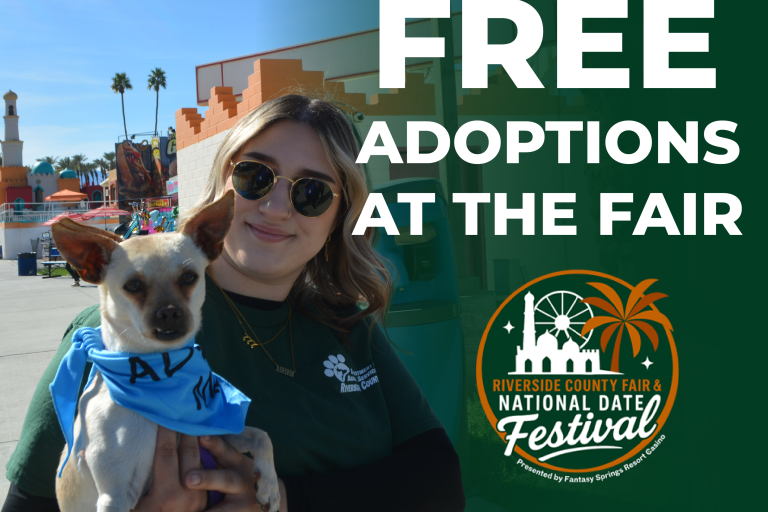 Adopciones de Perros Sin Costo en la Feria del Condado de Riverside y el Festival Nacional del Dátil