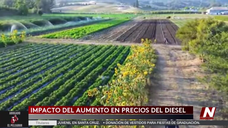 Impacto Del Aumento Del Precio Del Diesel En La Costa Central diesel