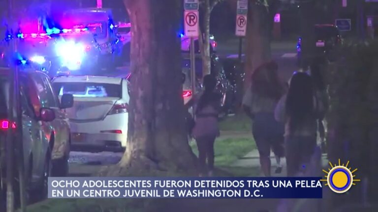 Pelea Masiva En Centro Recreativo De Washington D.C. Washington D.C.