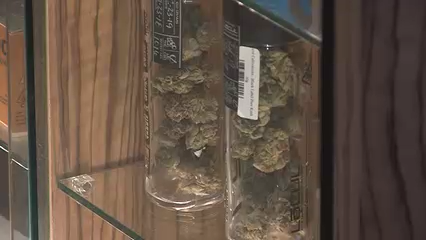 California Anula 215,000 Condenas de Cannabis a 10 Años de Su Legalización