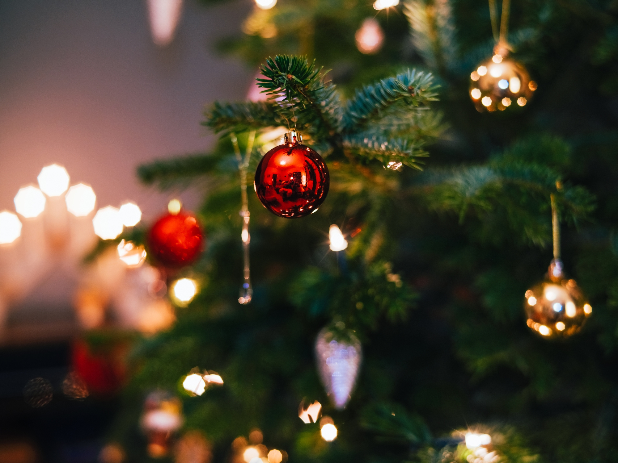 Cómo participar en el programa de reciclaje de árbol de Navidad TreeCycle en Denver