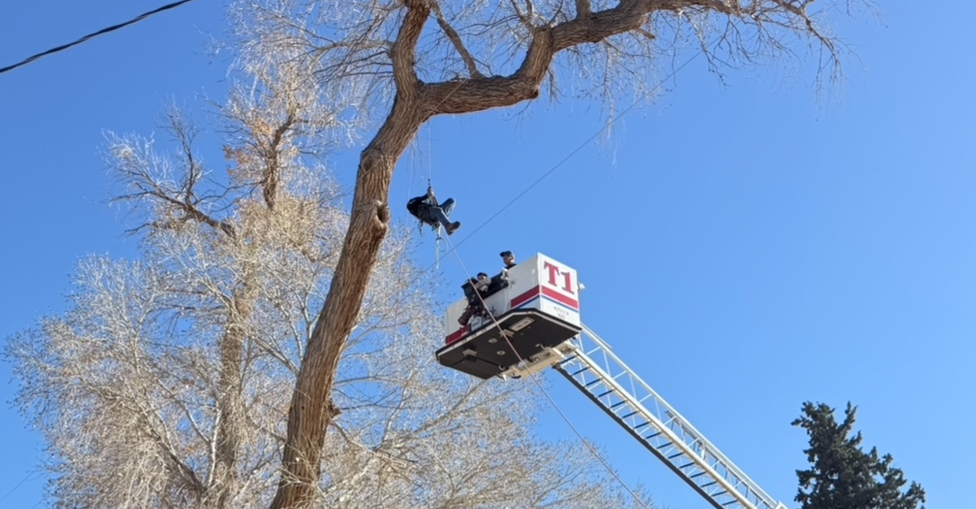Bomberos de Las Cruces Realizan Rescate de Trabajador Suspendido en un Árbol