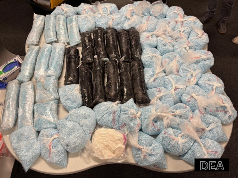 Alerta en Colorado por el Carfentanil: Un Opioide Sintético Más Letal que el Fentanilo