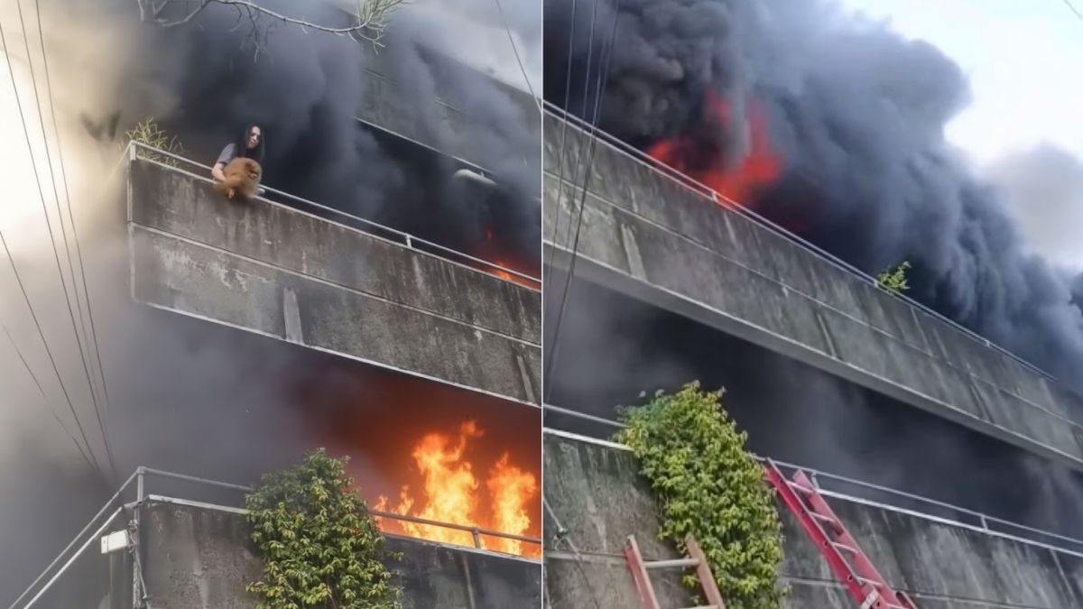 Valentía en Santa Bárbara: Mujer arriesga su vida para salvar a sus perritos del incendio