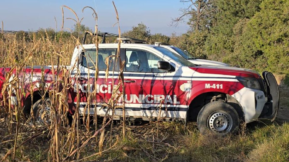 Asesinato en Nopalucan: Seis hombres pierden la vida en un suceso criminal alarmante