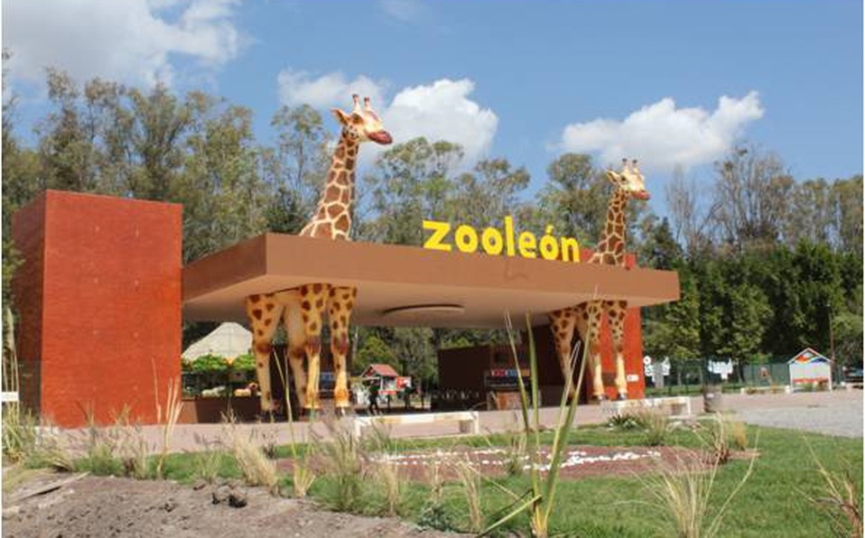 Zoológico de León Aumenta Seguridad con la Policía Municipal Tras la Muerte de 24 Borregos
